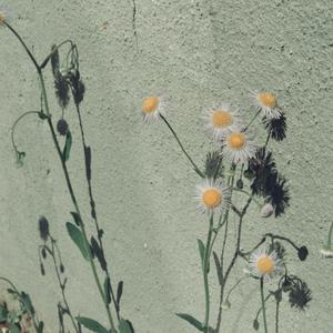 免费观看三级电影
